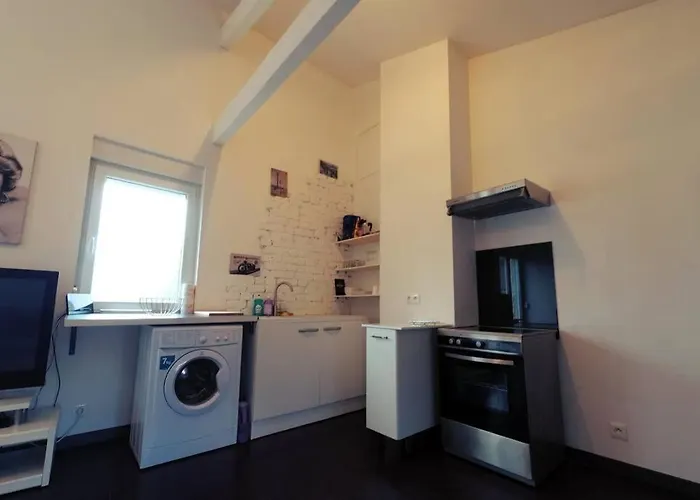 公寓 Complet Stiring-Wendel